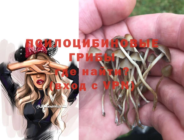 MDMA Богородск